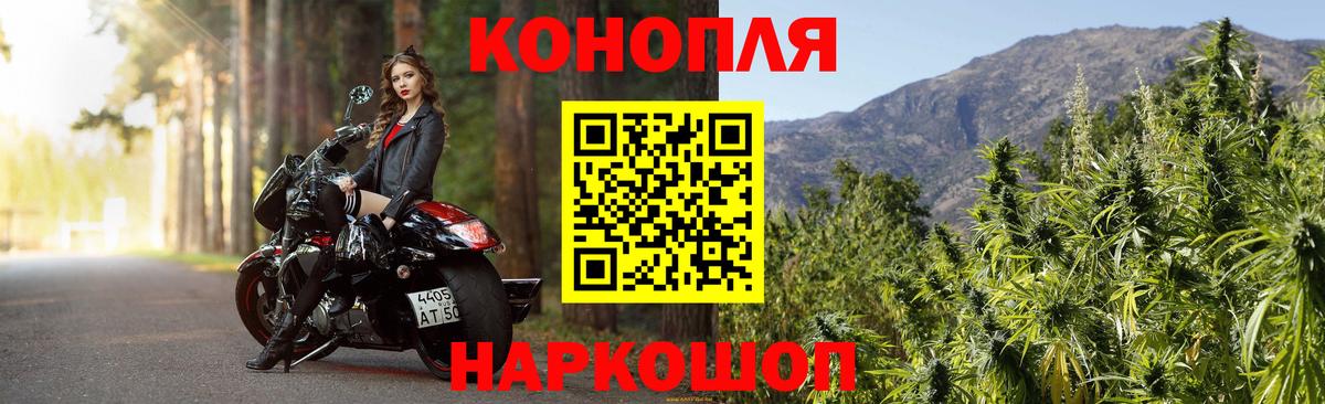 Каннабис семена Кашира